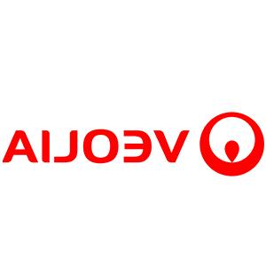     Veolia Environnement VE SA